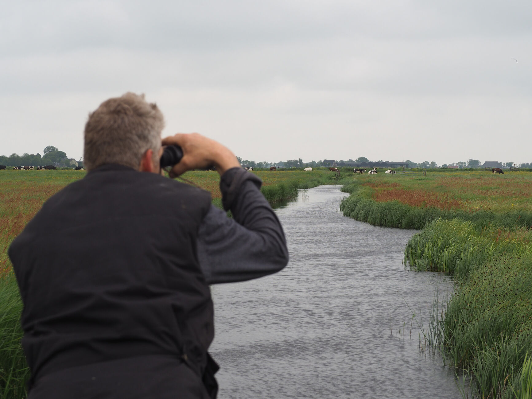 Vogels tellen met de Vogelwacht